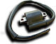 Ignitech Ignition Coil Ic-cdi-s