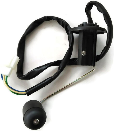 Daytona Motorcycle Fuel Tank