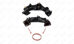 Hose Gasket Inlet Psa 1.6d