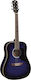 Eko Akustisch Gitarre Ranger Sunburst / Rot / S...