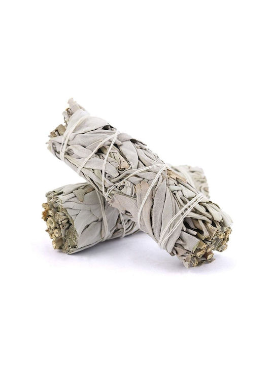 White Sage Smudge Stick 10χ3cm 2 Ραβδιά Θυμιάματος Λευκό Φασκόμηλο