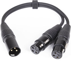 Master Audio XLR female / XLR male - 2 x XLR female 0.3m CY100