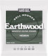 Ernie Ball Earthwood Set of Bronze Acoustic Gui...