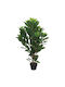 Copac Magnolia Real Touch Ghiveci Înălțime 110cm 1/4kib 04-16071