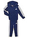 Essentials Kids Sweatpants Set With Jacket Blue 2 Pieces