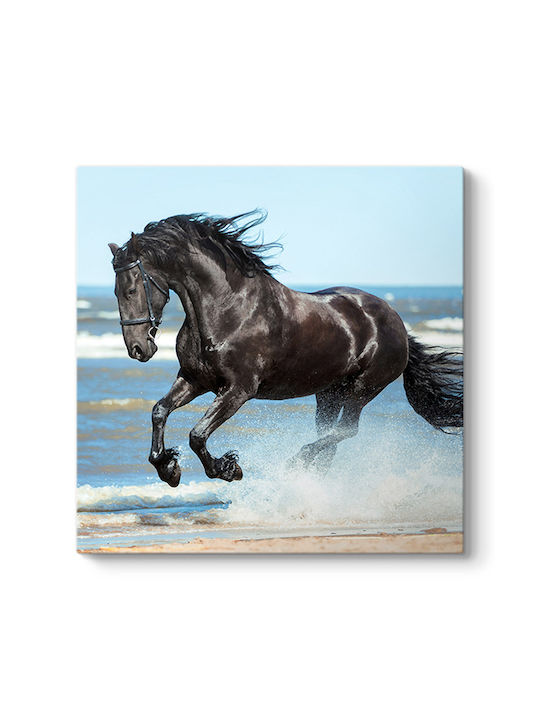 Megapap Black Horse Painting on Canvas 60x60cm