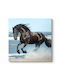 Megapap Black Horse Painting on Canvas 60x60cm