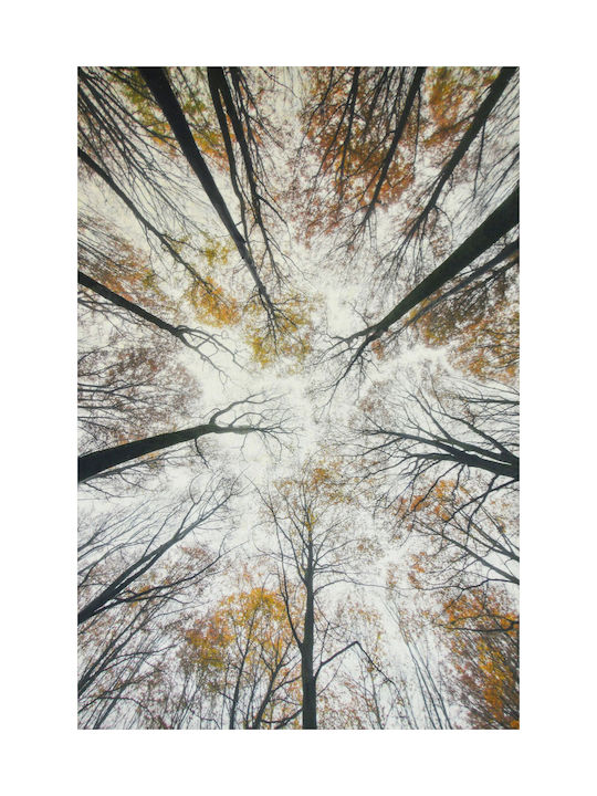 Χαλί Heaven 5404 Beige-brown 160x230cm