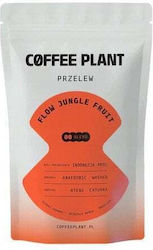 Coffee Plant Flow Jungle Fruit Filter 100g Coffee Plant Flow Jungle Fruit Filter 100g