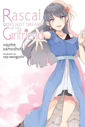 Rascal Does Not Dream Of His Girlfriend Light Novel, Rascal Does Not Dream Light Vol. 14 Rascal Does Not Dream Of His Girlfriend Light Novel, Rascal Does Not Dream Light Vol. 14