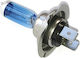 Gazzenor Xenon Set de Iluminare H7 12V 6000K Alb rece
