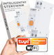 Oxt Intelligent Controller Ρελέ Ράγας 63A