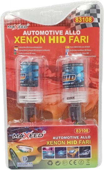 Car Xenon Kit 9006 55W 12V 6000K Cold White