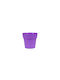 Viomes Ghiveci Purple 11x11x10cm.
