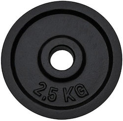 DHS Hantelscheibe 1 x 2,5kg