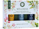 Aromatherapy Gift Set Wellness Blend Essential Oil Set 3 Essential Oils 5ml