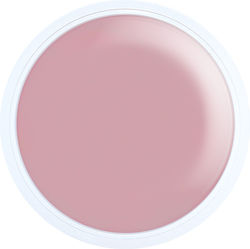 Alezori A&g Hybrid Vintage Bow Nail Acrygel VIN...