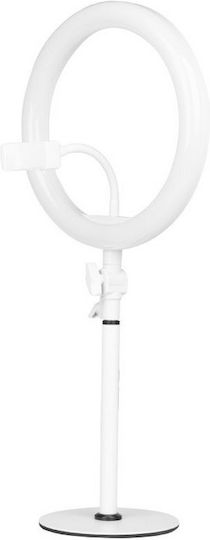 Salon Tech Ring Light 25.4cm