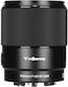 Yongnuo Full Frame Camera Lens YN50mm F1.8S DF DSM Fixed for Sony E Mount Black