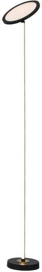 Pakketo Rita LED Floor Lamp Height 160cm Black Pakketo Rita LED Floor Lamp Height 160cm Black