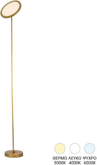 Pakketo Rita LED Floor Lamp H160xW25cm. Gold