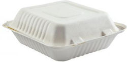 Ecocraft Disposable Sugar Cane Box 50pcs