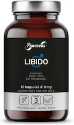 Panaseus 50 Capsule