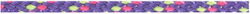 Beal BC02.120.V Cord de escaladă Violet