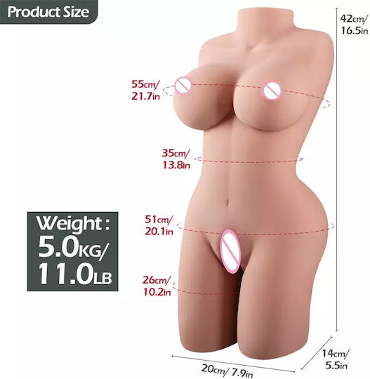 Realistic Woman Torso Multiple Weight Options Various Dimensions Easy To  Clean 5kg
