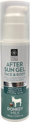 Bodyfarm Nach der Sonnenpflege Lotion 150ml Bodyfarm Nach der Sonnenpflege Lotion 150ml