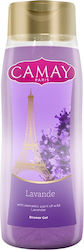 Camay Αφρόλουτρο 500ml Camay Αφρόλουτρο 500ml