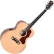 Sigma Guitars Semi-Akustik Gitarre