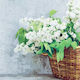 Decoupage Napkin 1 Piece 33x33 White Basket Flowers