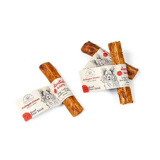 Celebrate Freshness Bone Training for Dogs with Flavor Beef 12.5cm