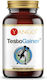Yango TestoGainer 90 Mützen