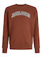 Kids Sweatshirt Brown