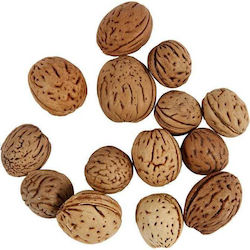 Nuci Mici 15mm 25mm 25gr