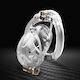 Double Key Bird Cock Cage Clear Include 4 Rings