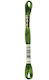 Embroidery Thread Mouline Dmc 117 905 Green