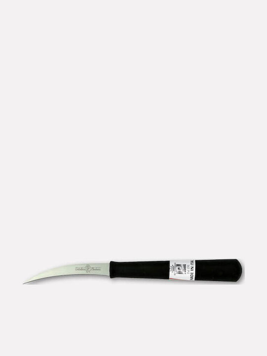 Paolucci Coltellerie Messer Allgemeine Verwendung aus rostfreiem Stahl 15.5cm