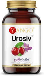 Yango Urosiv 90 Kapseln Cranberry Yango Urosiv 90 Kapseln Cranberry