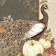 Brown Peacock Napkin 1 Piece