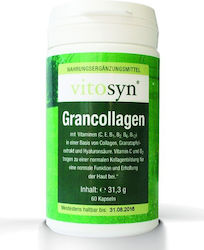 Metapharm Vitosyn Grancollagen 60 κάψουλες Metapharm Vitosyn Grancollagen 60 κάψουλες