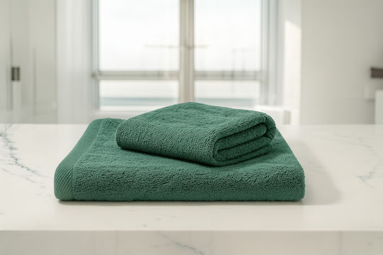Family Enterprise Bath Towels Set of Towels 2 pcs Pieni Weight 450gsm