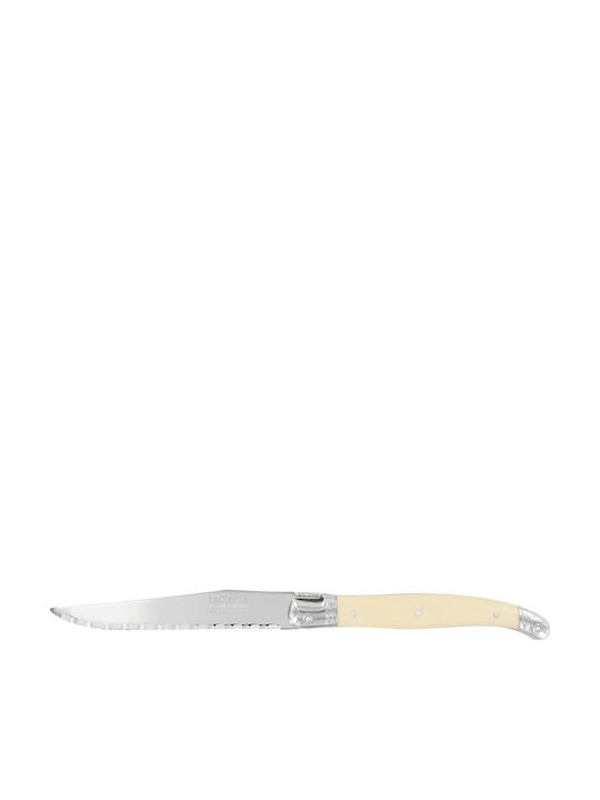 Andre Verdier Knife Steak from Stainless Steel 12cm