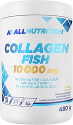 AllNutrition Collagen Fish 10000мг 480гр Манго