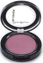Stargazer Blush No9