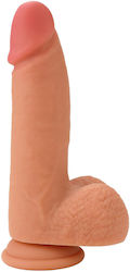 Glass Dildo