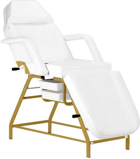 Salon Tech Beauty Chair with Adjustable Height