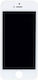 Screen with Touch Mechanism for iPhone 5 (White)